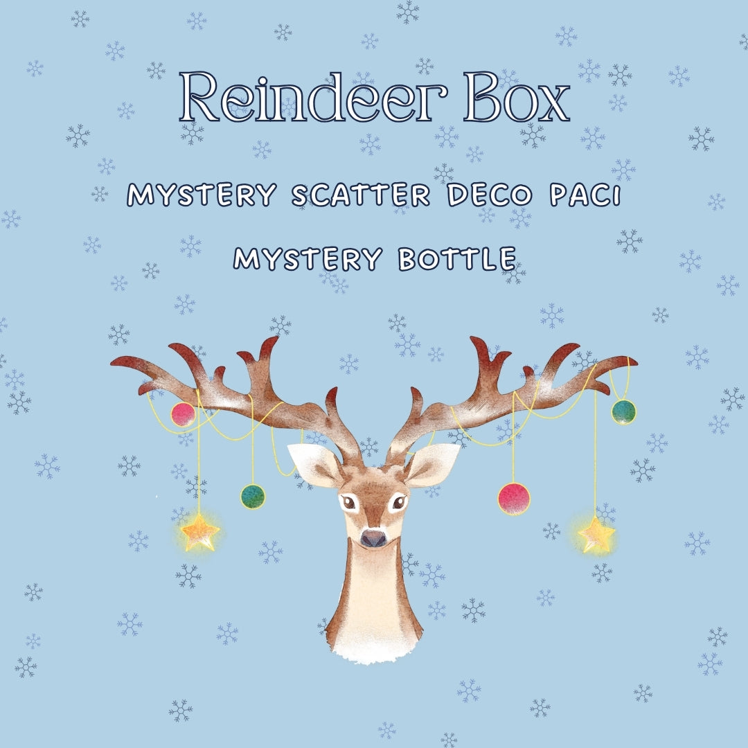 Winter Wonderland Mystery Boxes