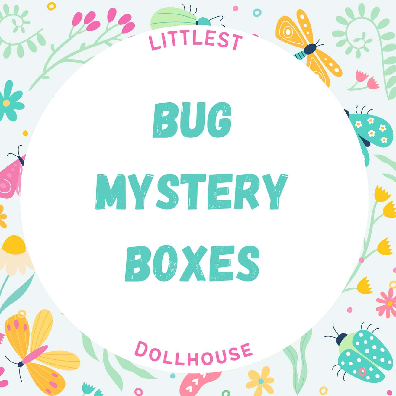 Bug Mystery Boxes