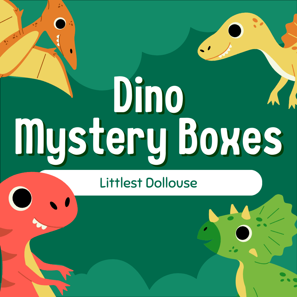 Dino Mystery Boxes